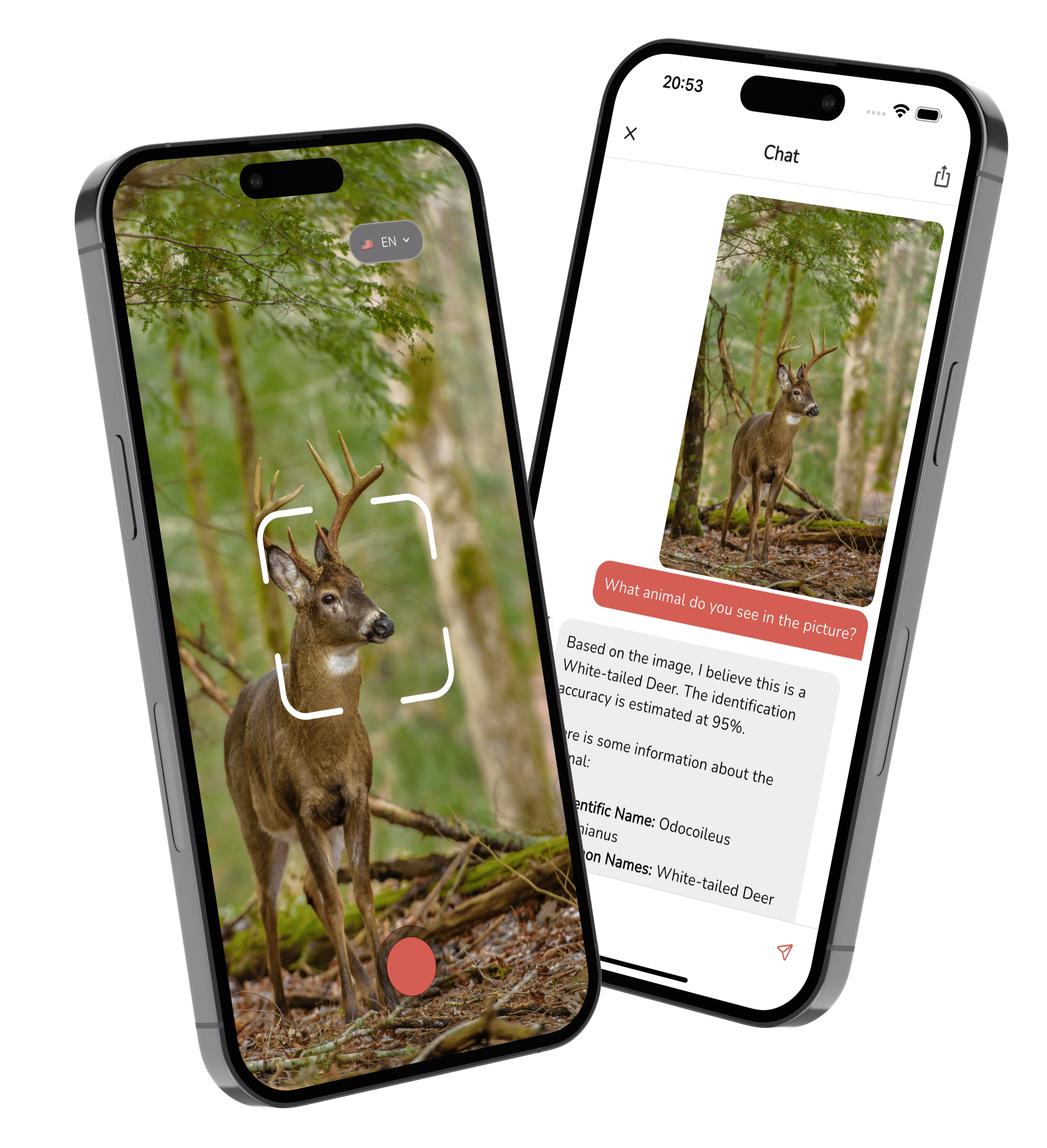 Animal Identifier app main screenshot showing animal identification results