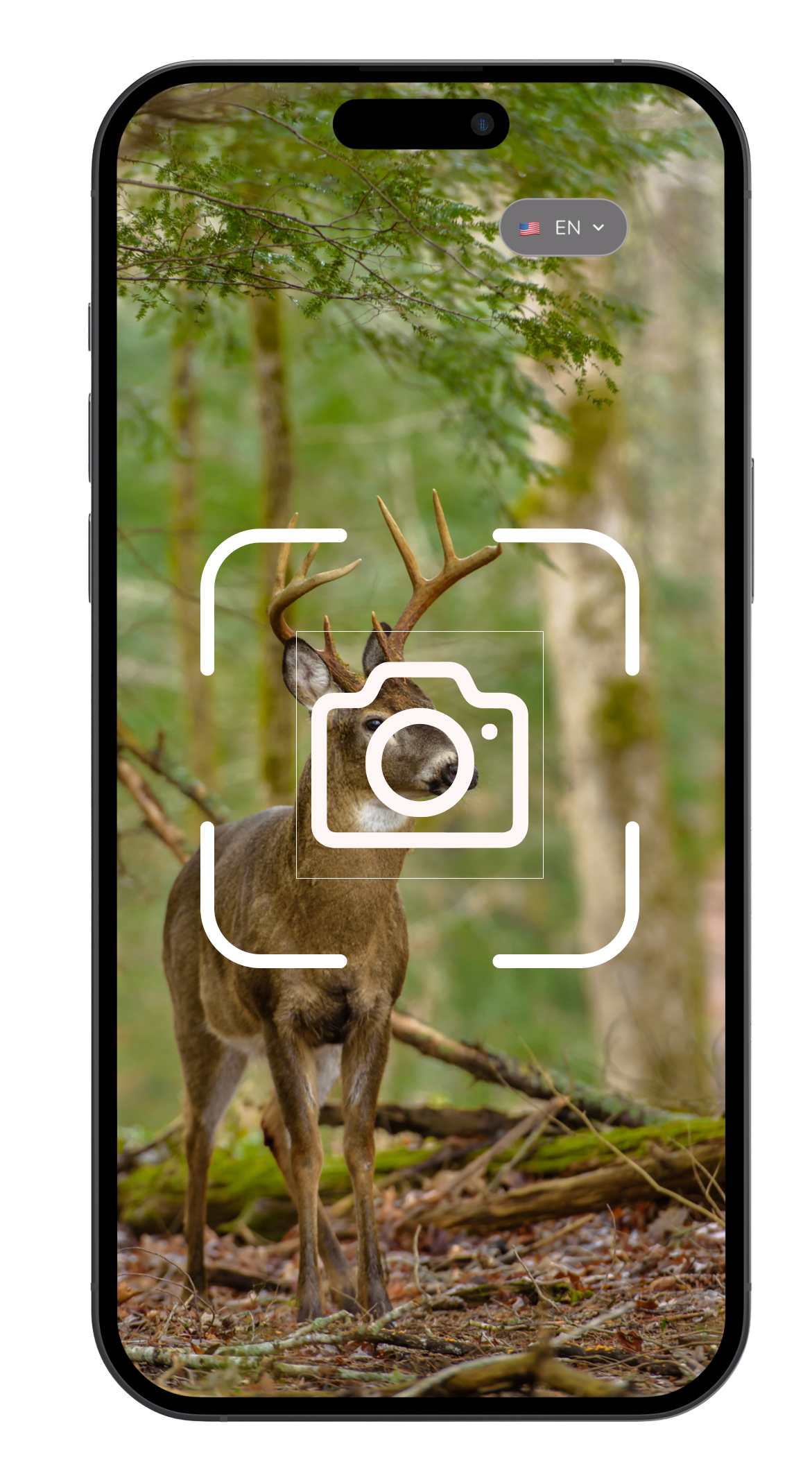 Animal Identifier app screenshot - animal identification example 1