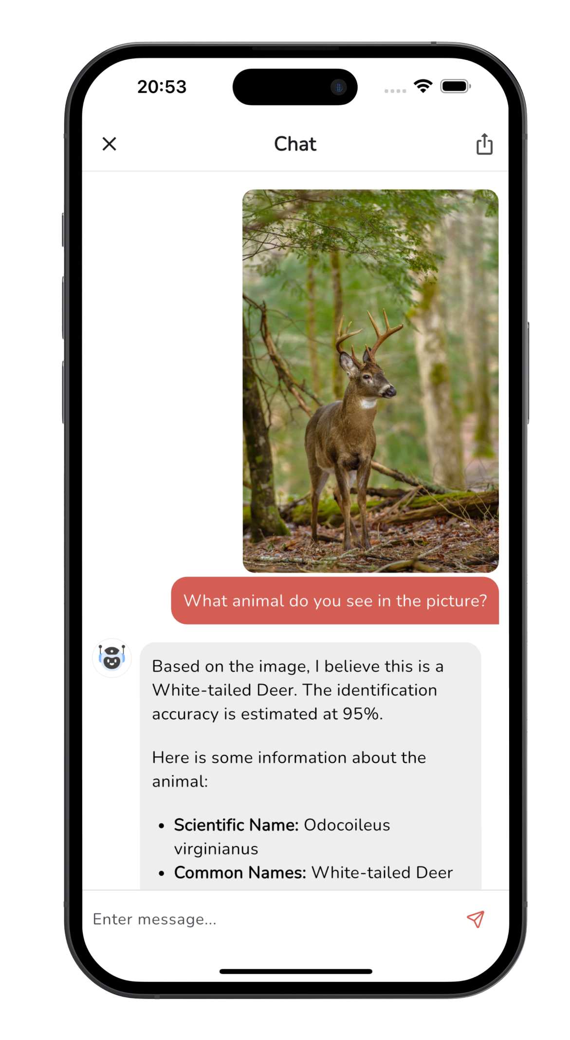 Animal Identifier app screenshot - animal identification example 3